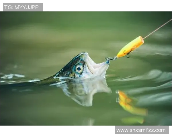 足球明星与海洋奇遇记抱鱼视频素材精彩瞬间分享