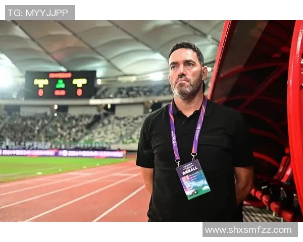 苏亚足球明星盘点及其在国际赛场上的辉煌成就与影响力分析