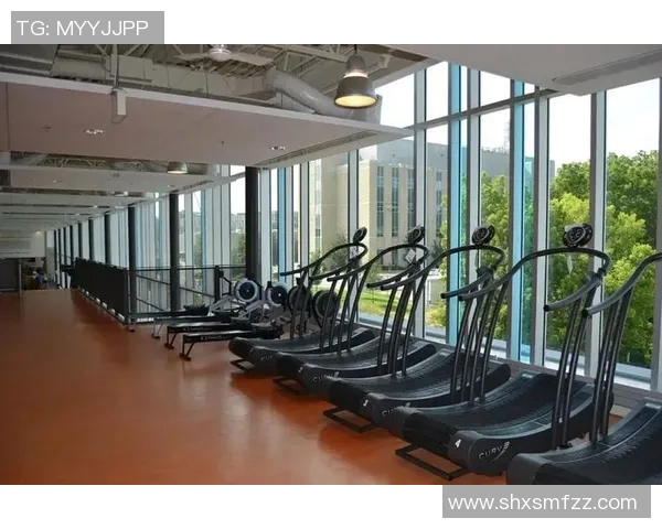 体育器材上市公司龙头企业的发展现状与未来趋势分析